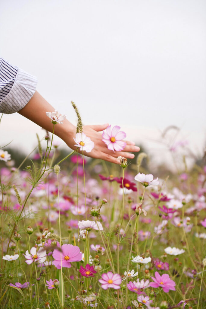 Hello World Featured Image
